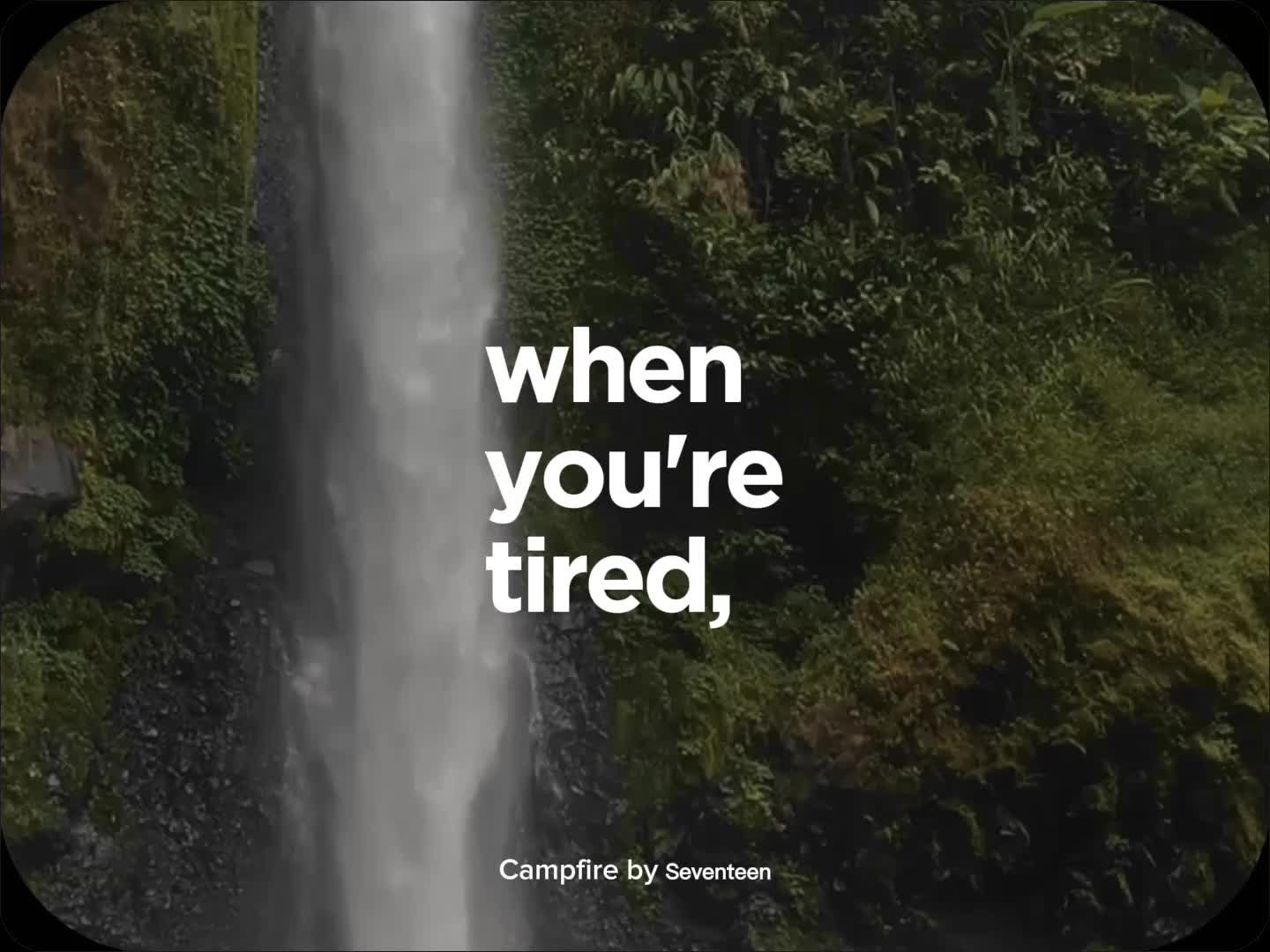 @wyl