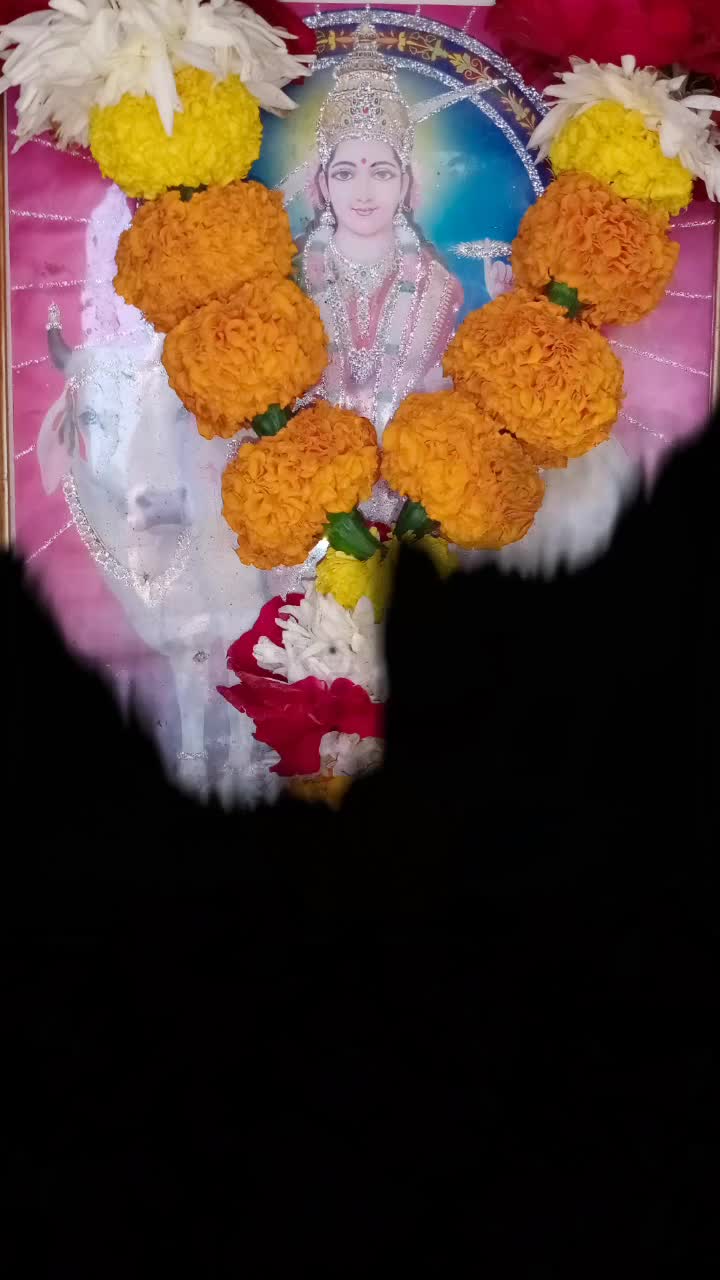 @@MaheshKatodiya_8182