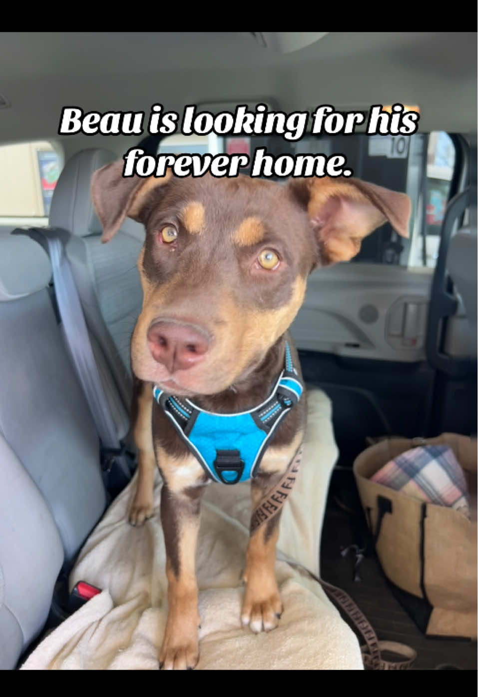@Mamacita6222