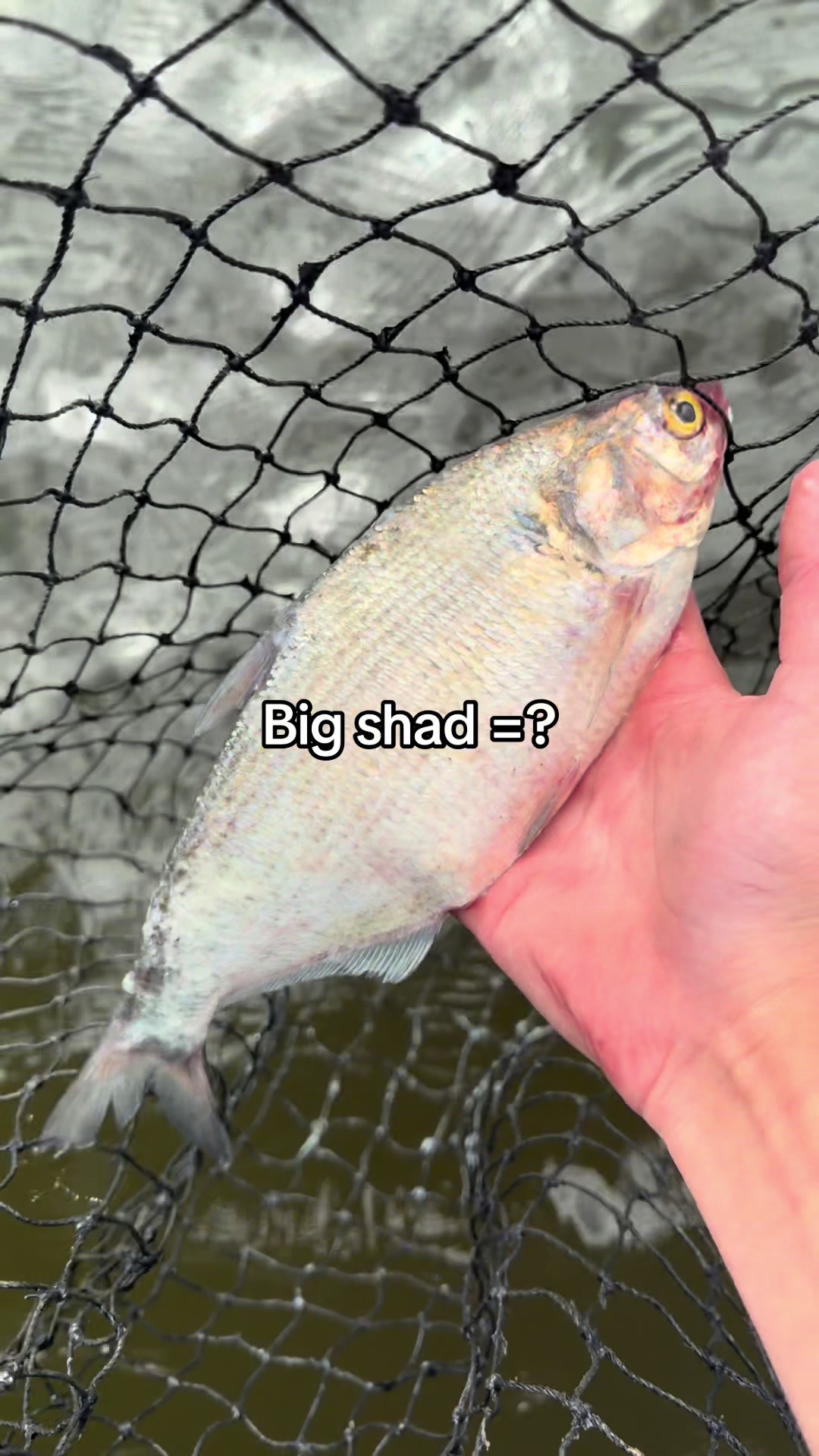 @FattBassFishing
