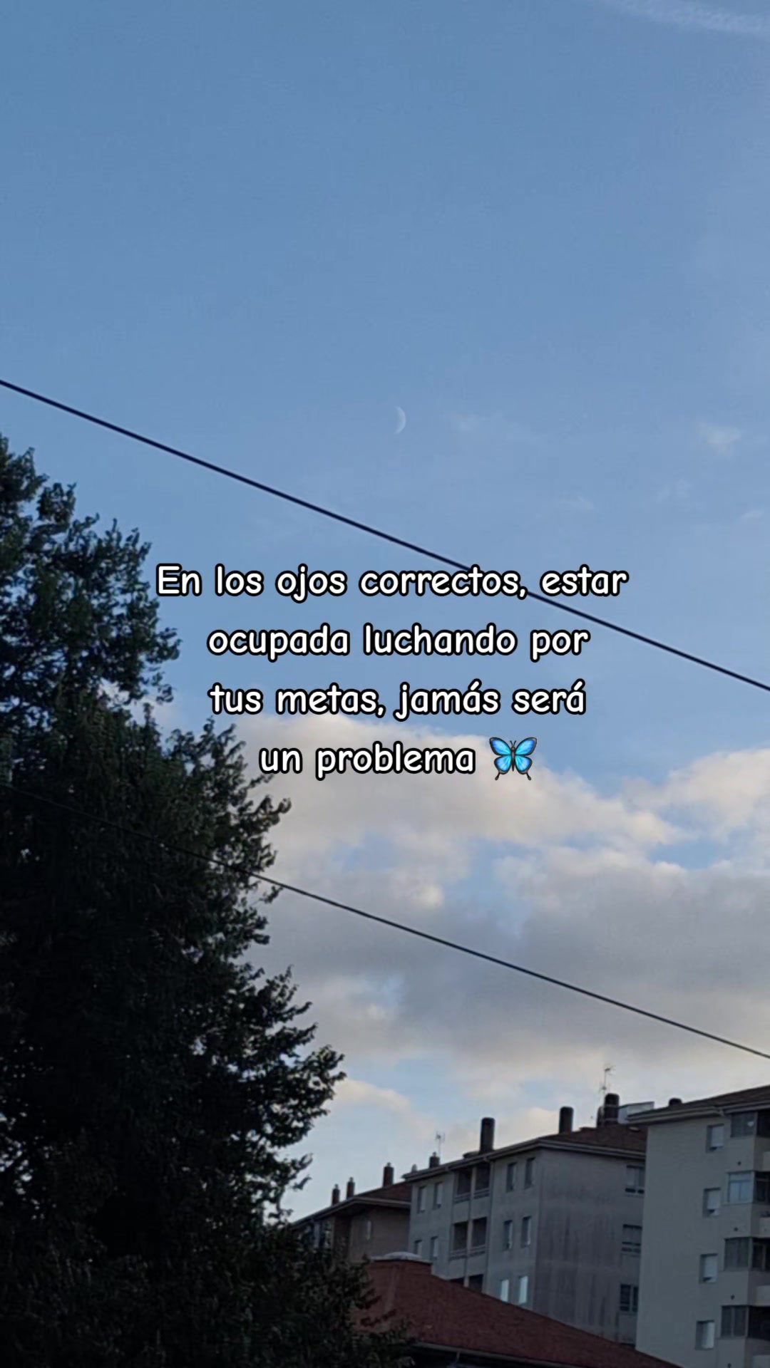 @Estefani Soberon Gutierresz🦋