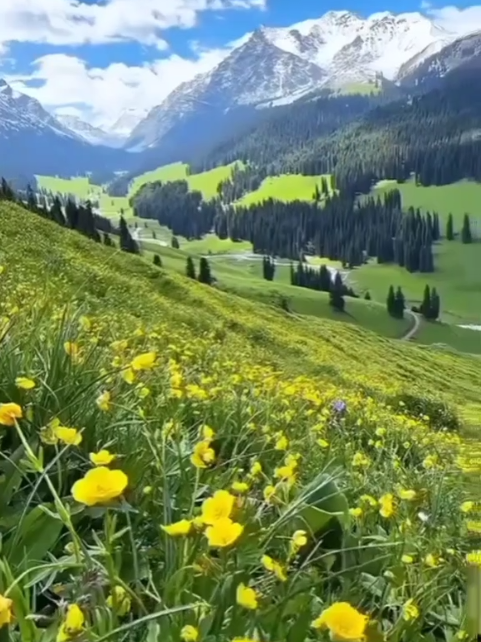 @Никита