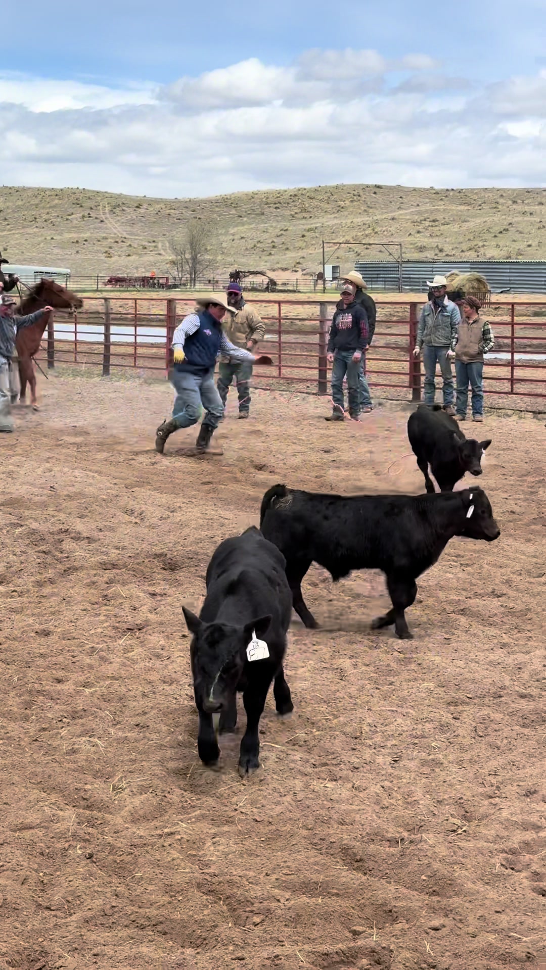 @Huffmanranch