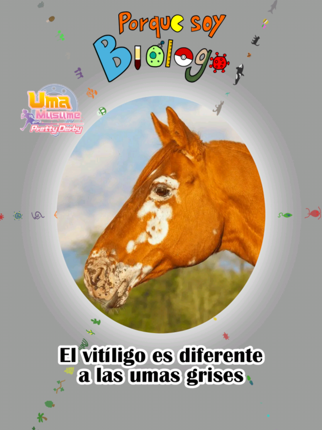 @Porque soy Bi&oacute;logo