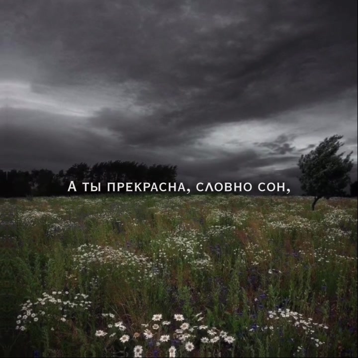 @тгк: ангельская