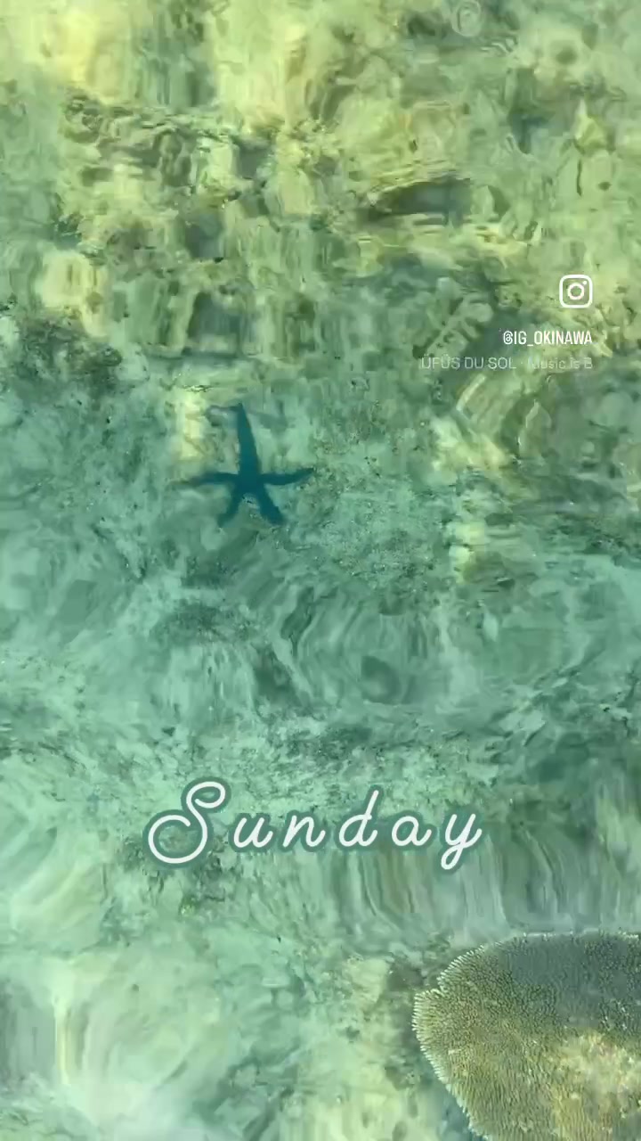 @IG_Okinawa