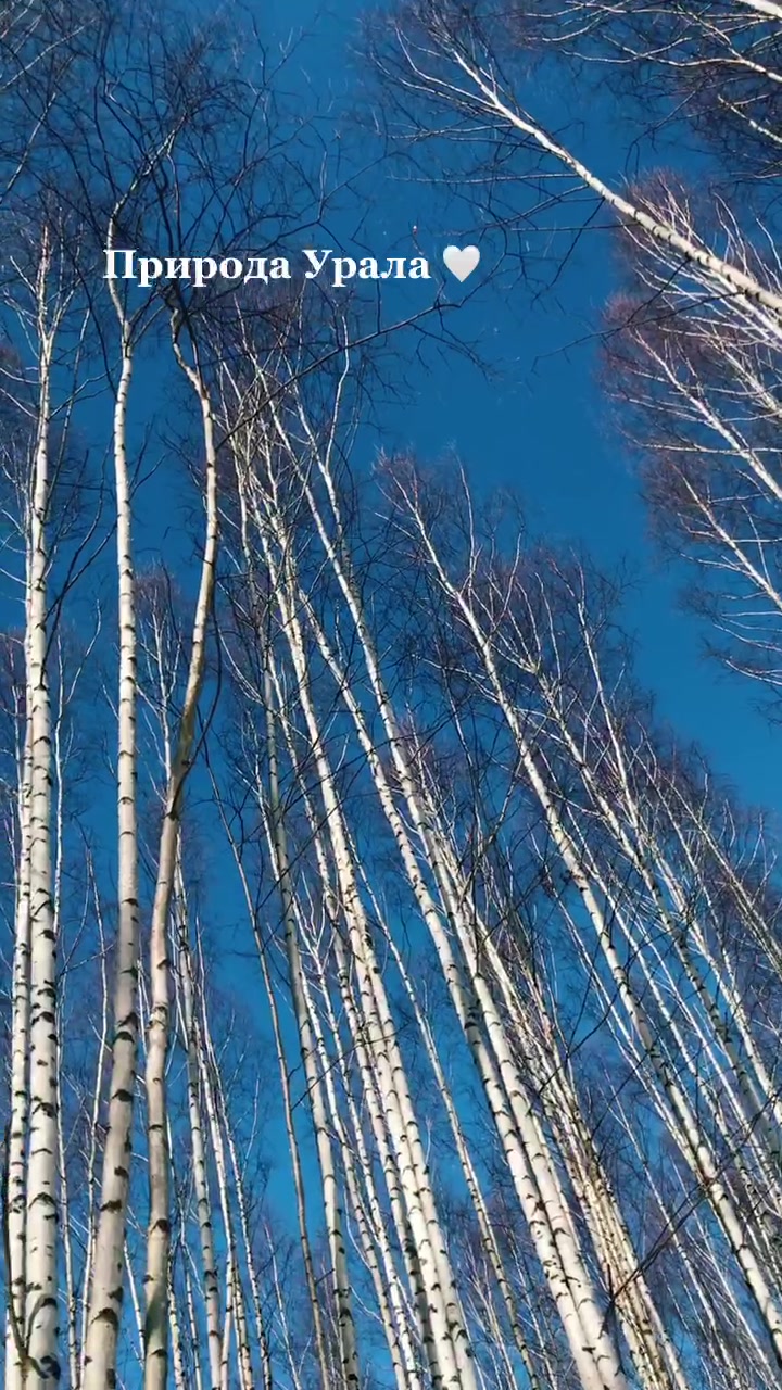 @Мария Носкова