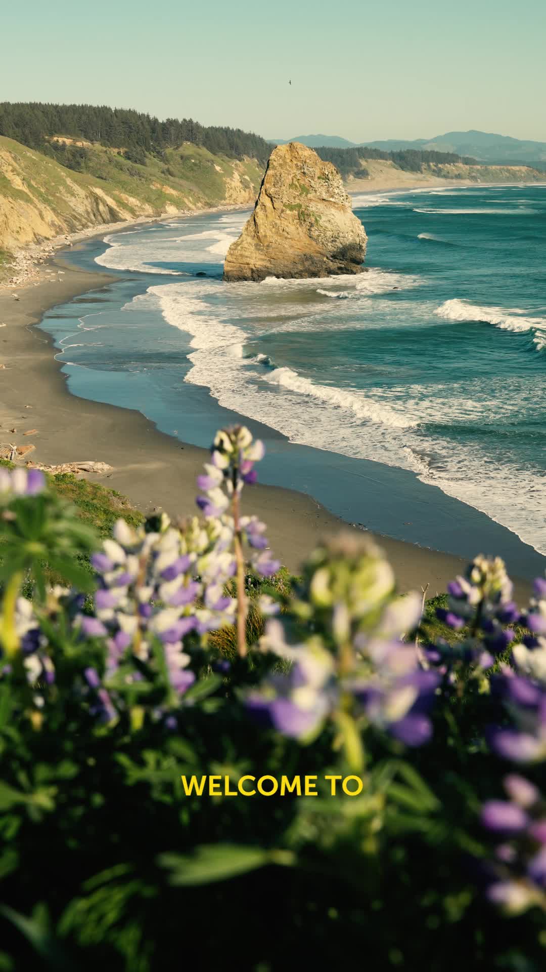 @Southern Oregon Coast