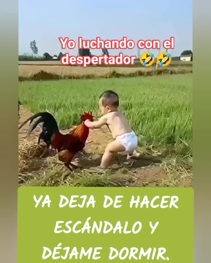 @Videos bonitos