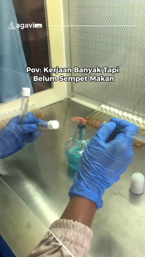 @Agavi Lab
