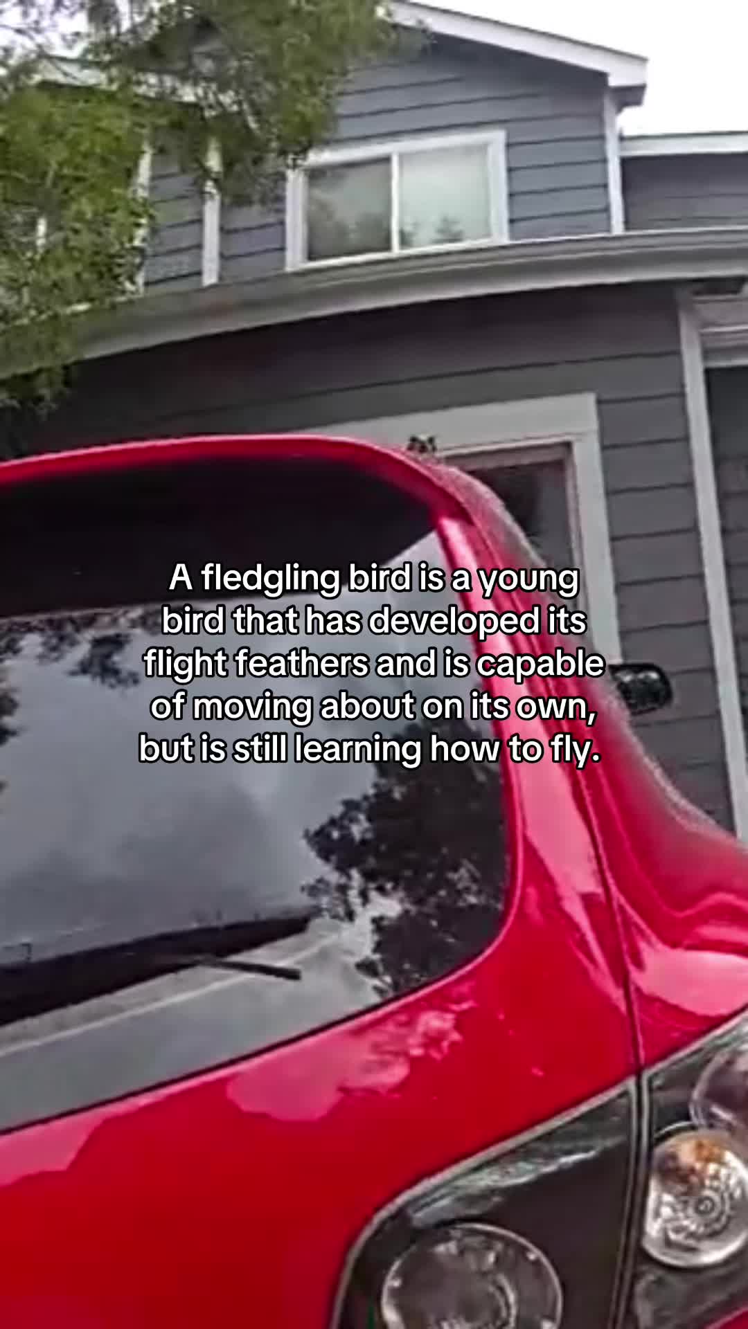 @Brighton Police Department