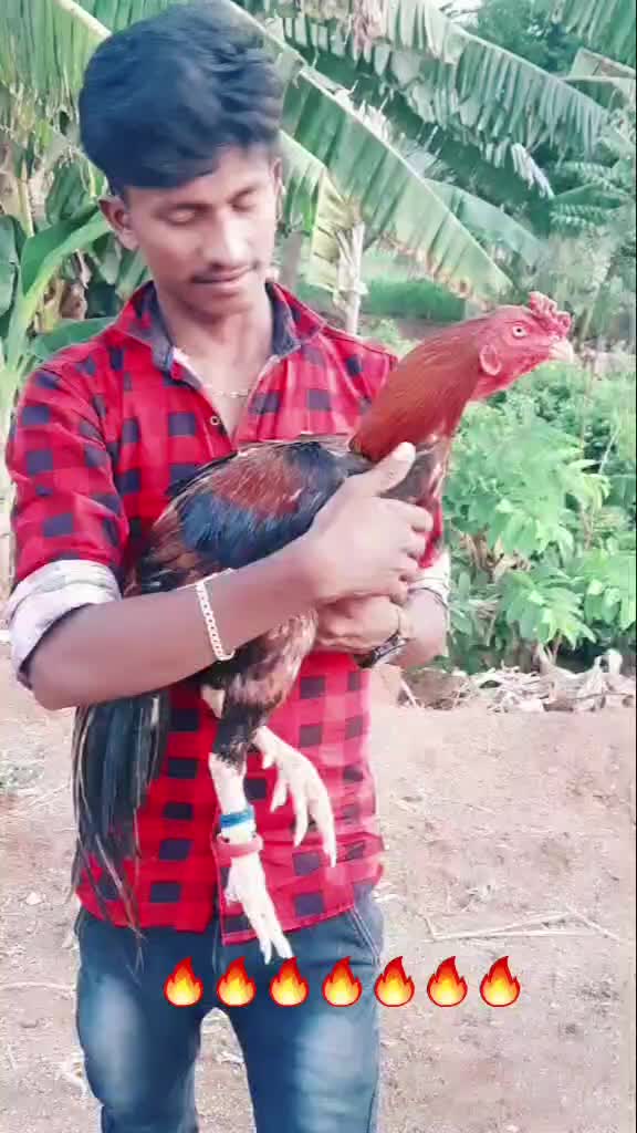 @Srinivasan