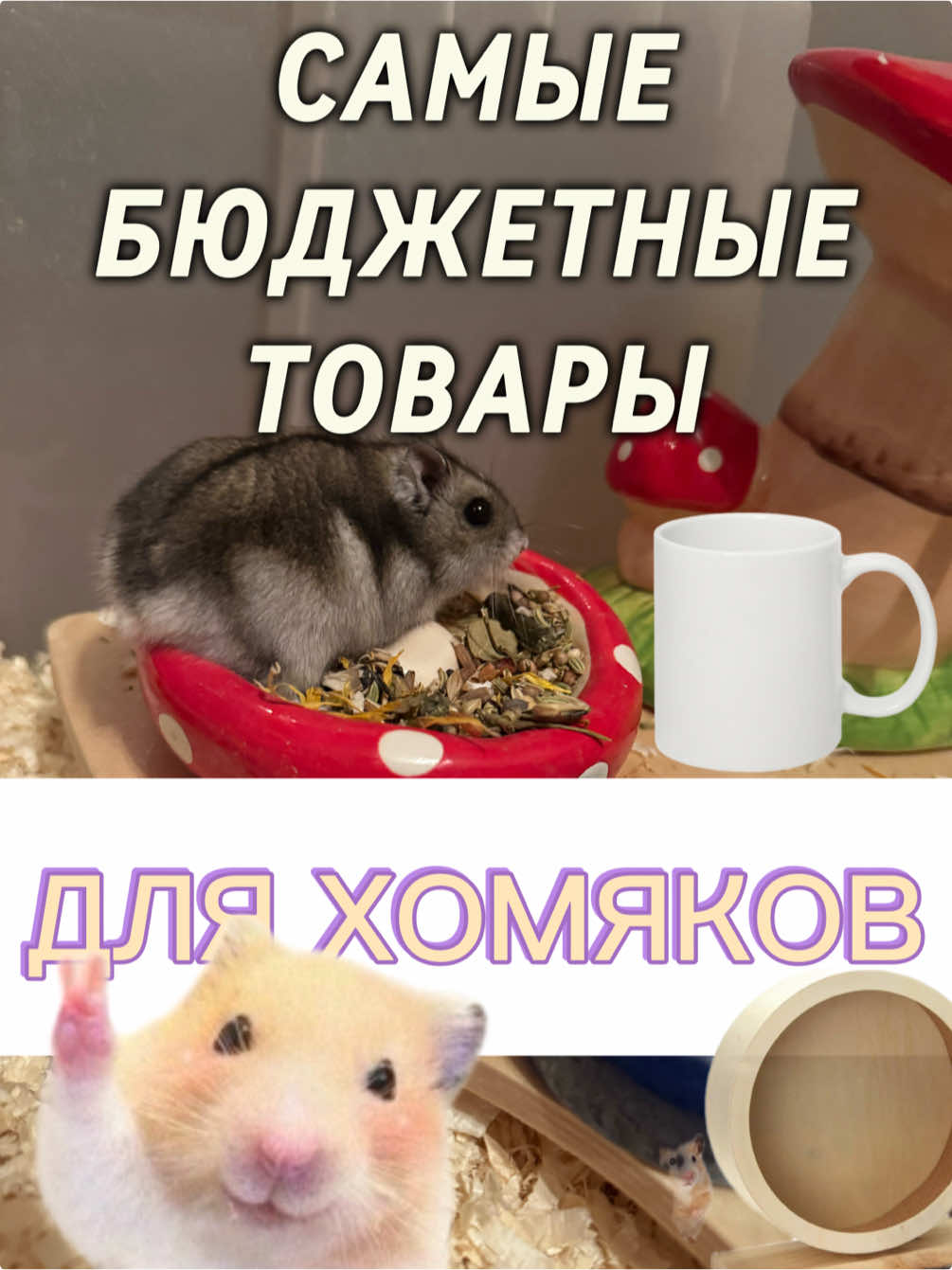 @хомяк Ричард 🐹