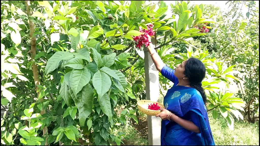 @B.Sree PavithraReddy