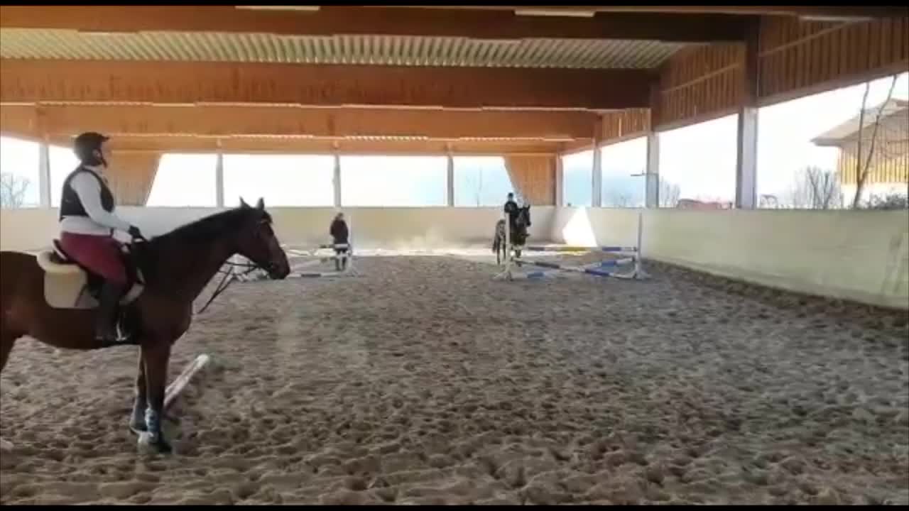 @My.soulhorse❤️🥺✌🏻