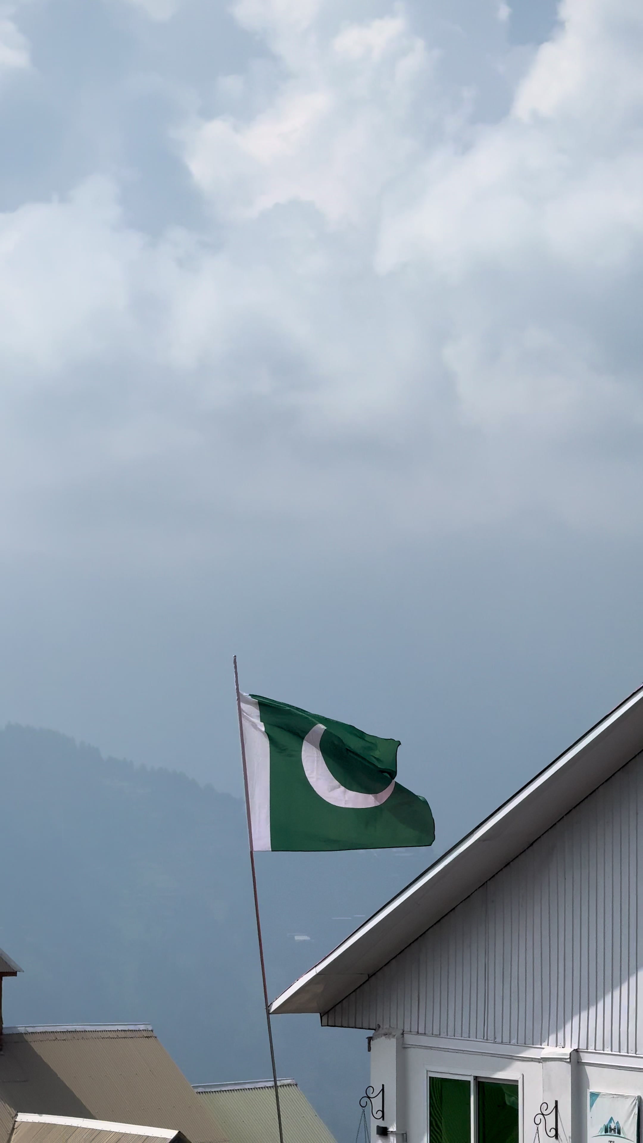 @Shogran Vibes