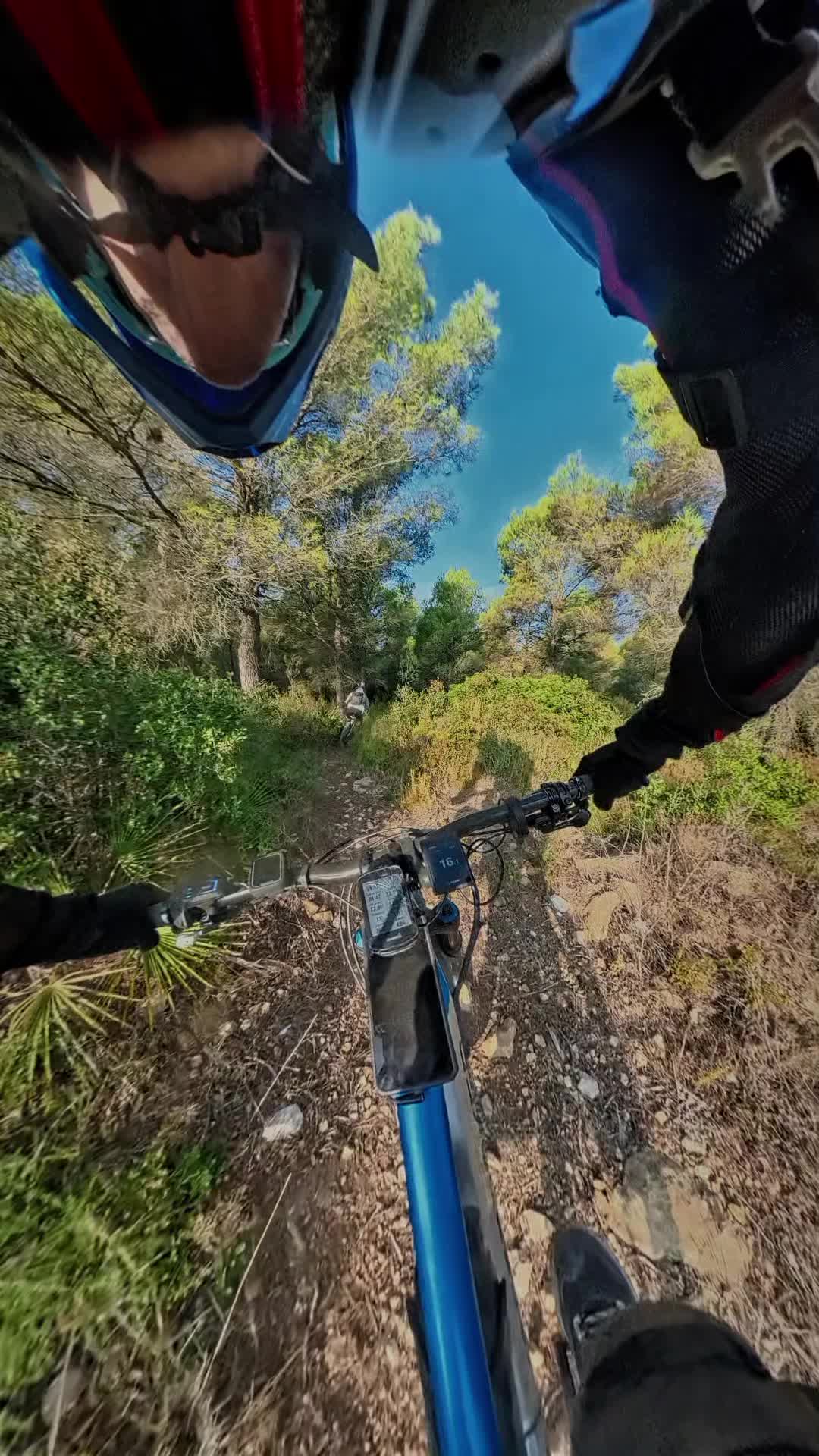 @MTB coves