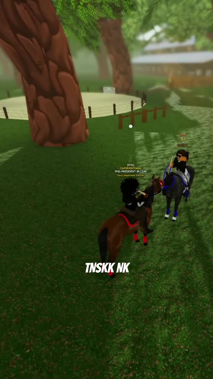 @CAPOMONTANA🥋