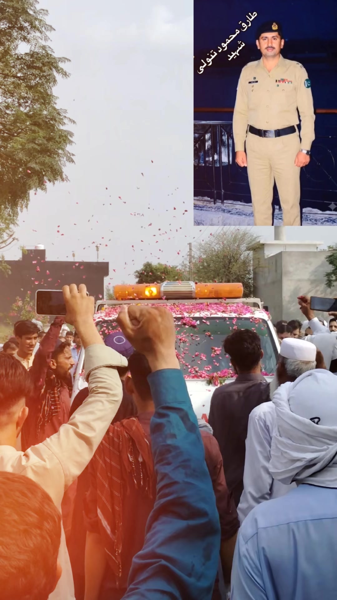 @M. Uzair Tanoli