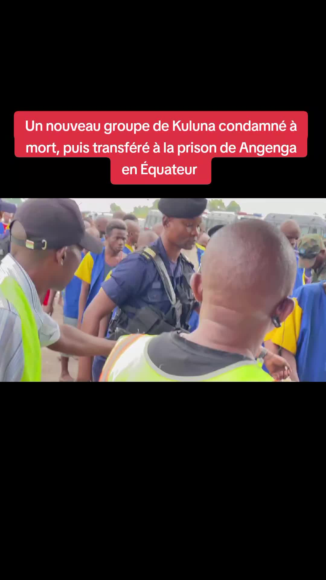@Pulse Congo