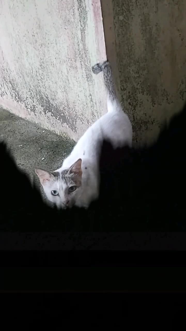 @I'M_ʌnprɪˈdɪktəb(ə)l