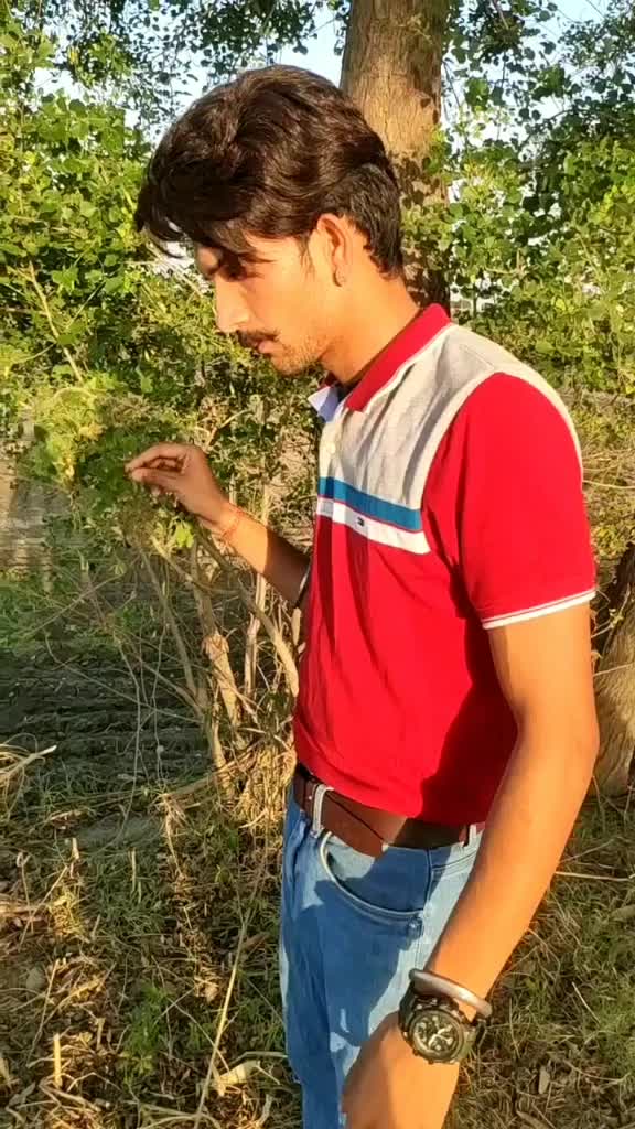 @sukh kambi507427