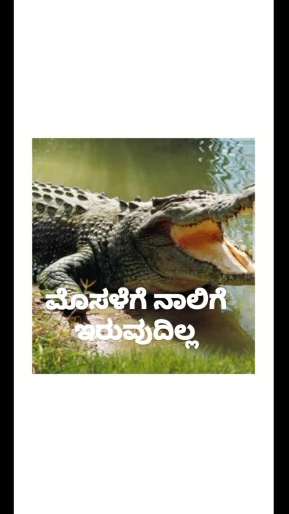 @Nemu Asif