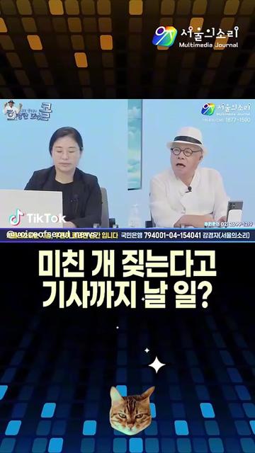@🌺시라소니[본]🌺