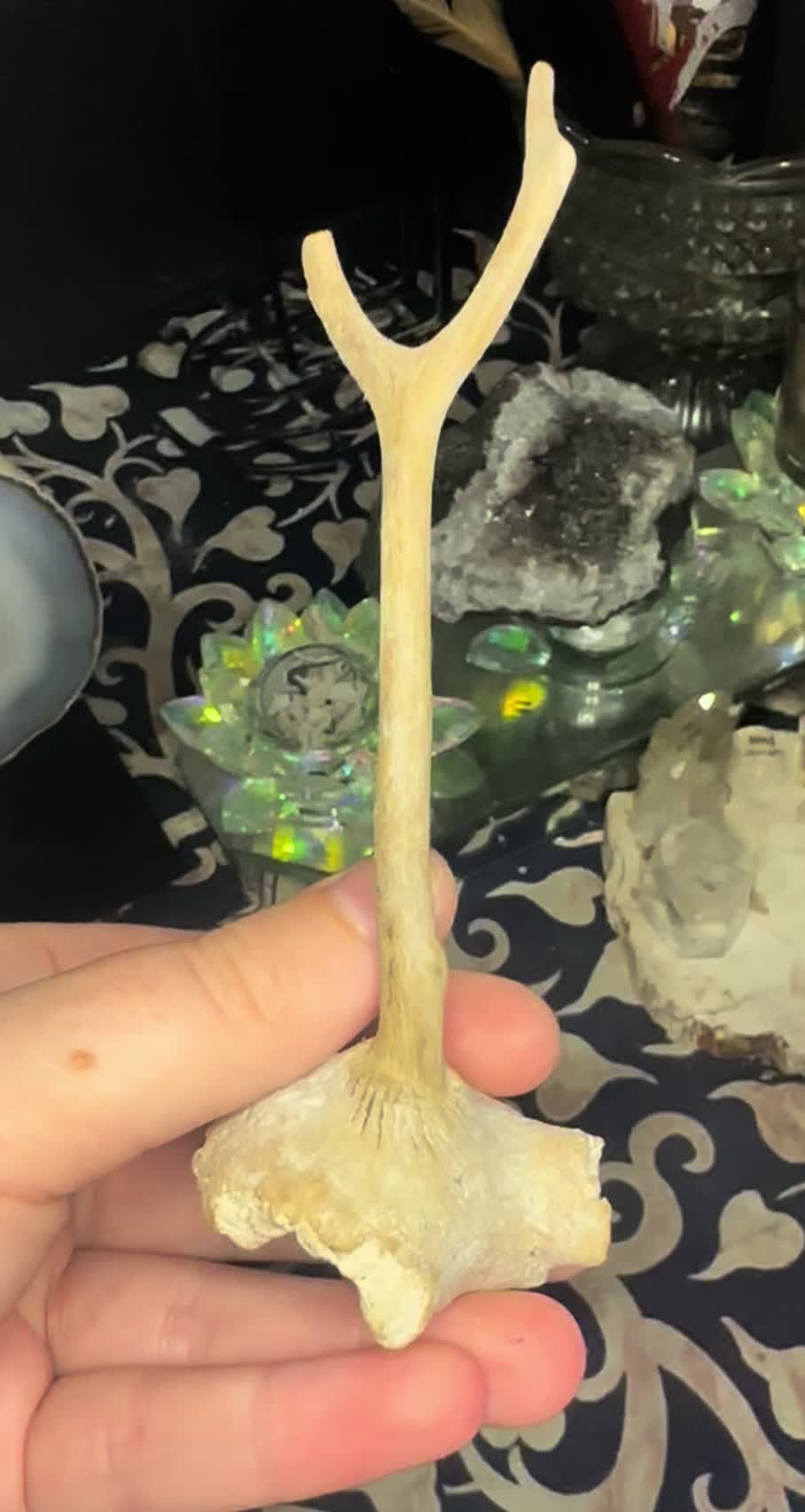 @Openeyetreasures