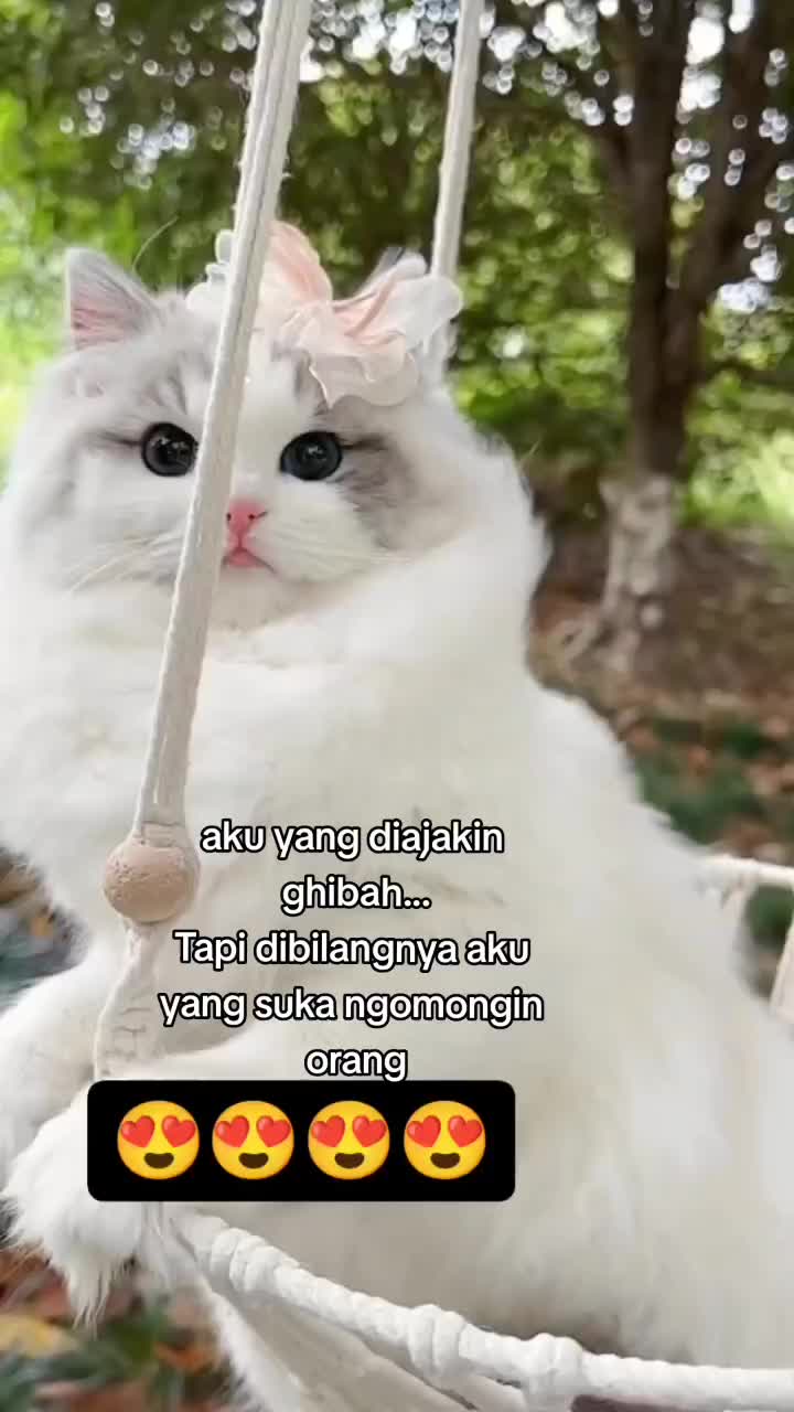 @enciciwiiiiiii