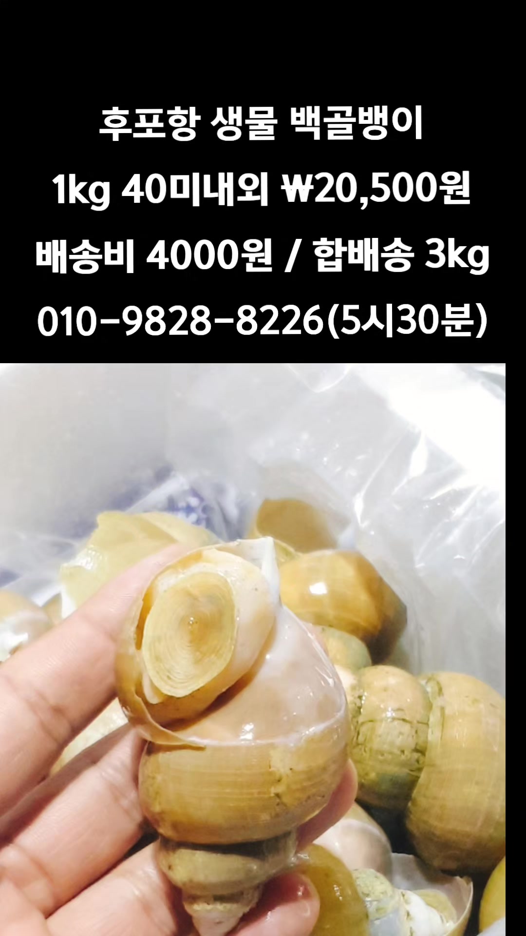 @똑손
