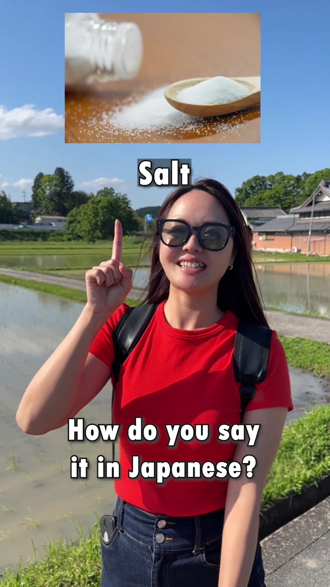 @Learn Japanese | Salmon sensei