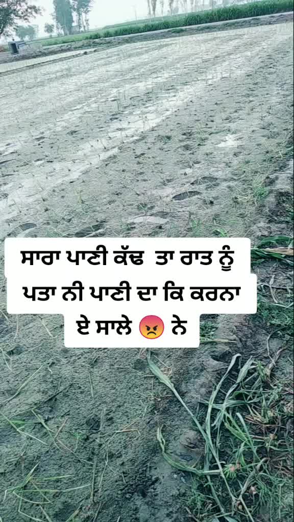 @Babbu