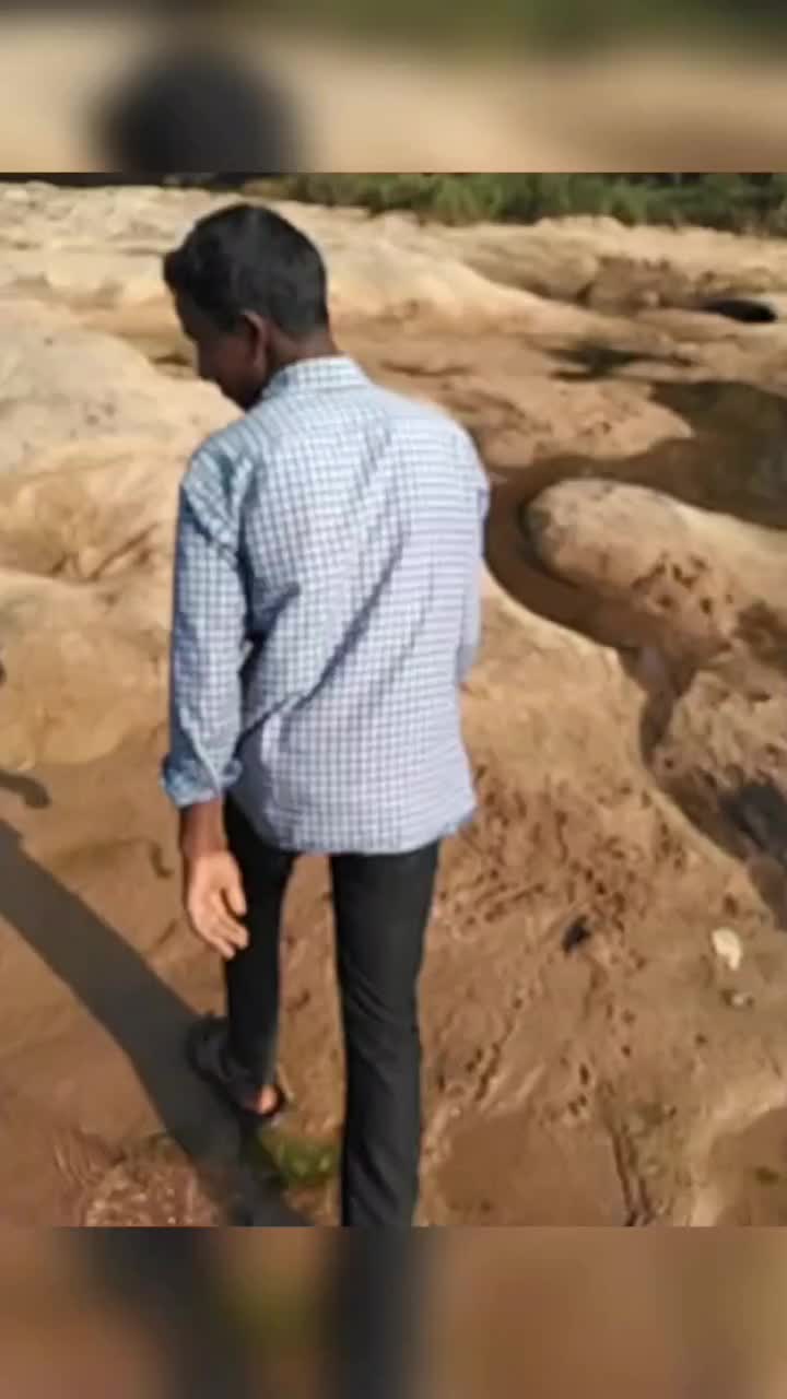 @user4951479675500