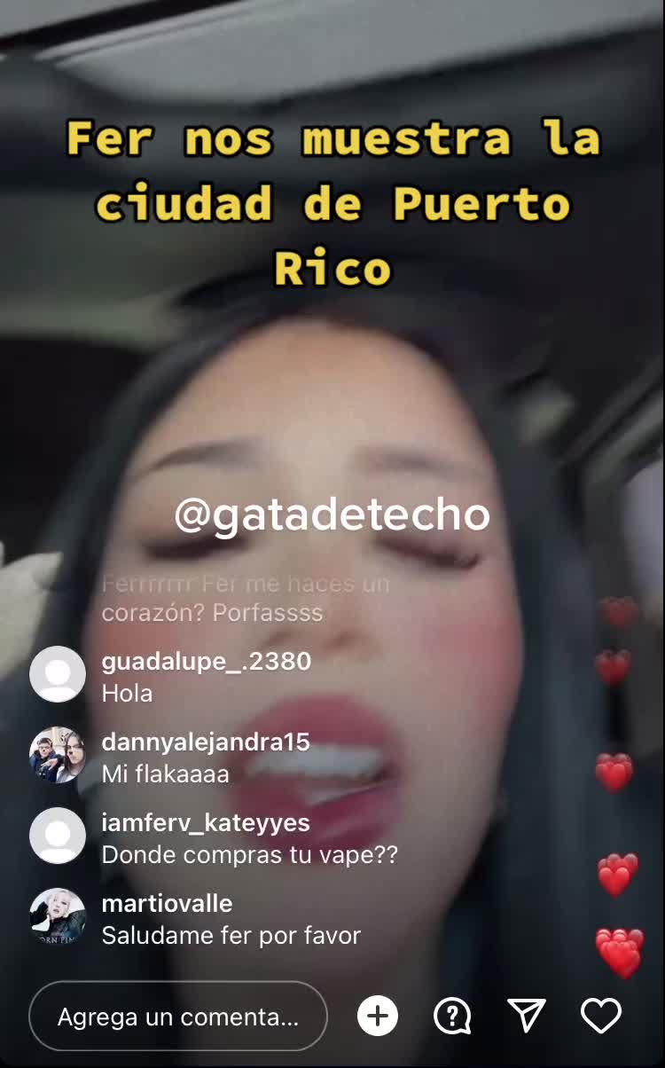 @Gatadetecho