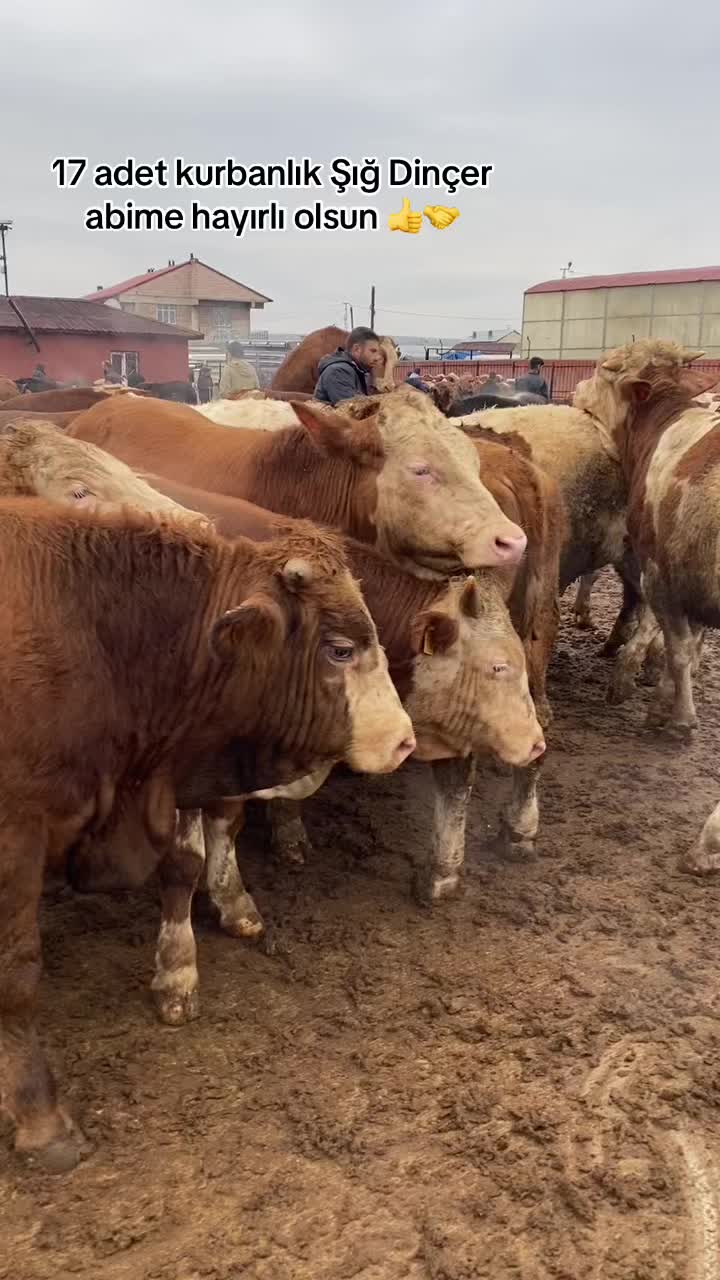 @yusuf yıldırım 04