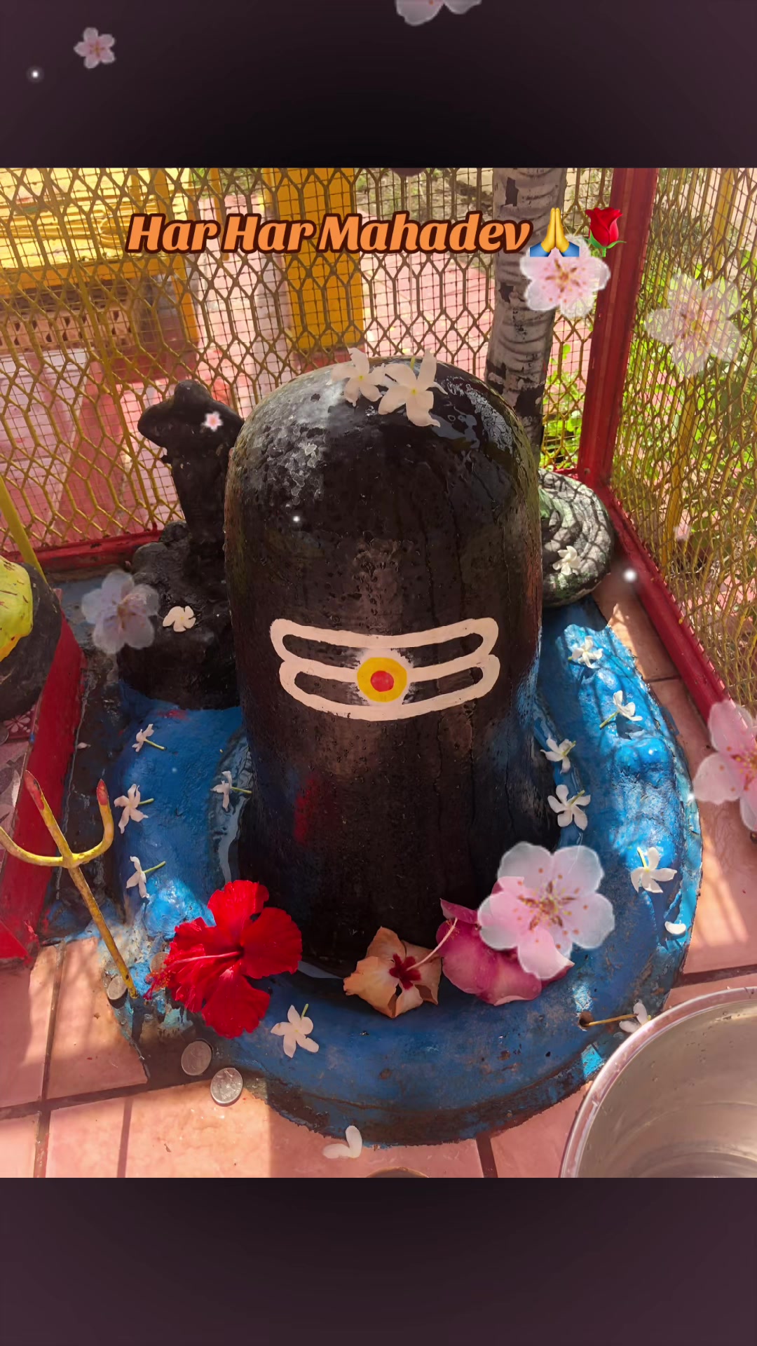@💙 शिवि 🦋वाणी 💙शैला🦋🫶(SS)