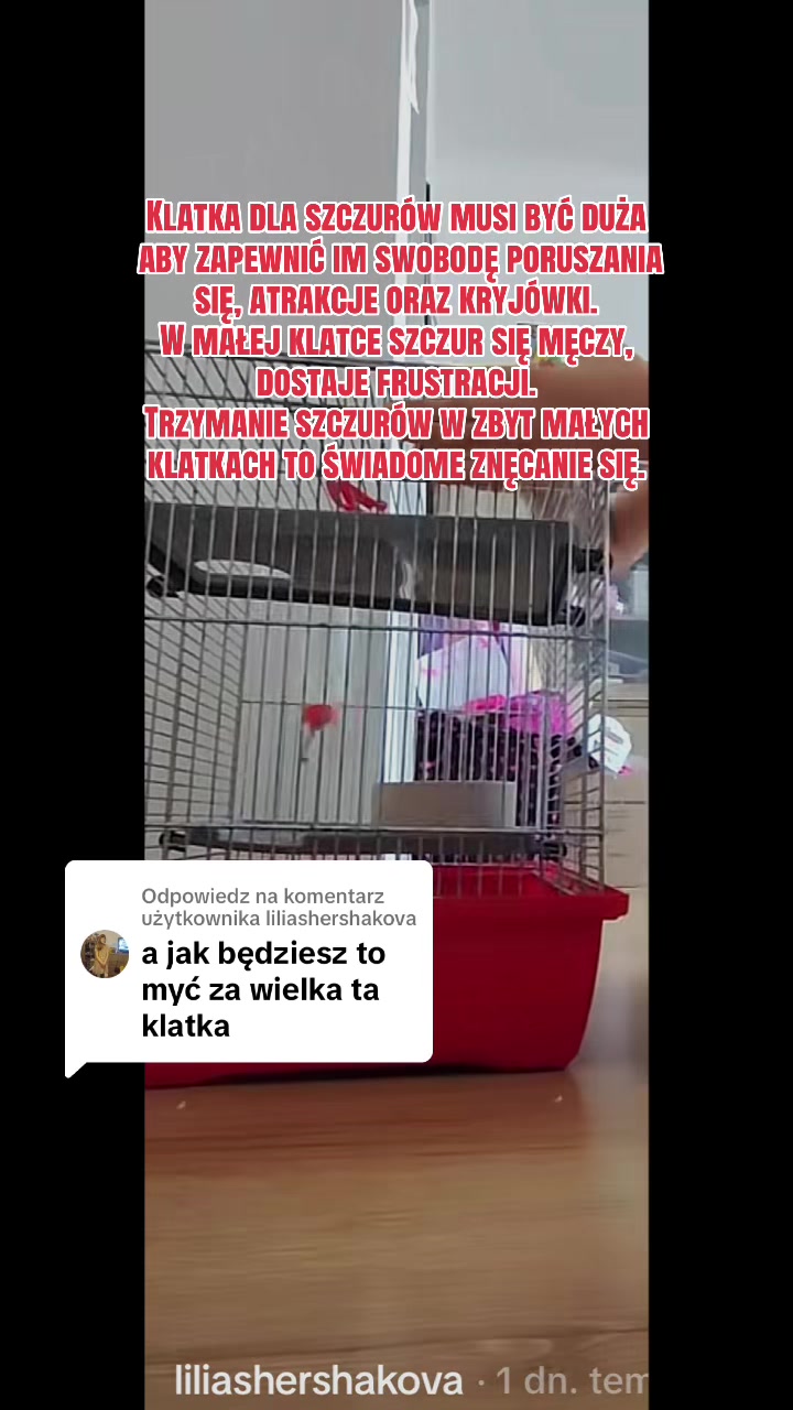 @𝐒𝐳𝐜𝐳𝐮𝐫𝐤𝐚𝟗𝟕