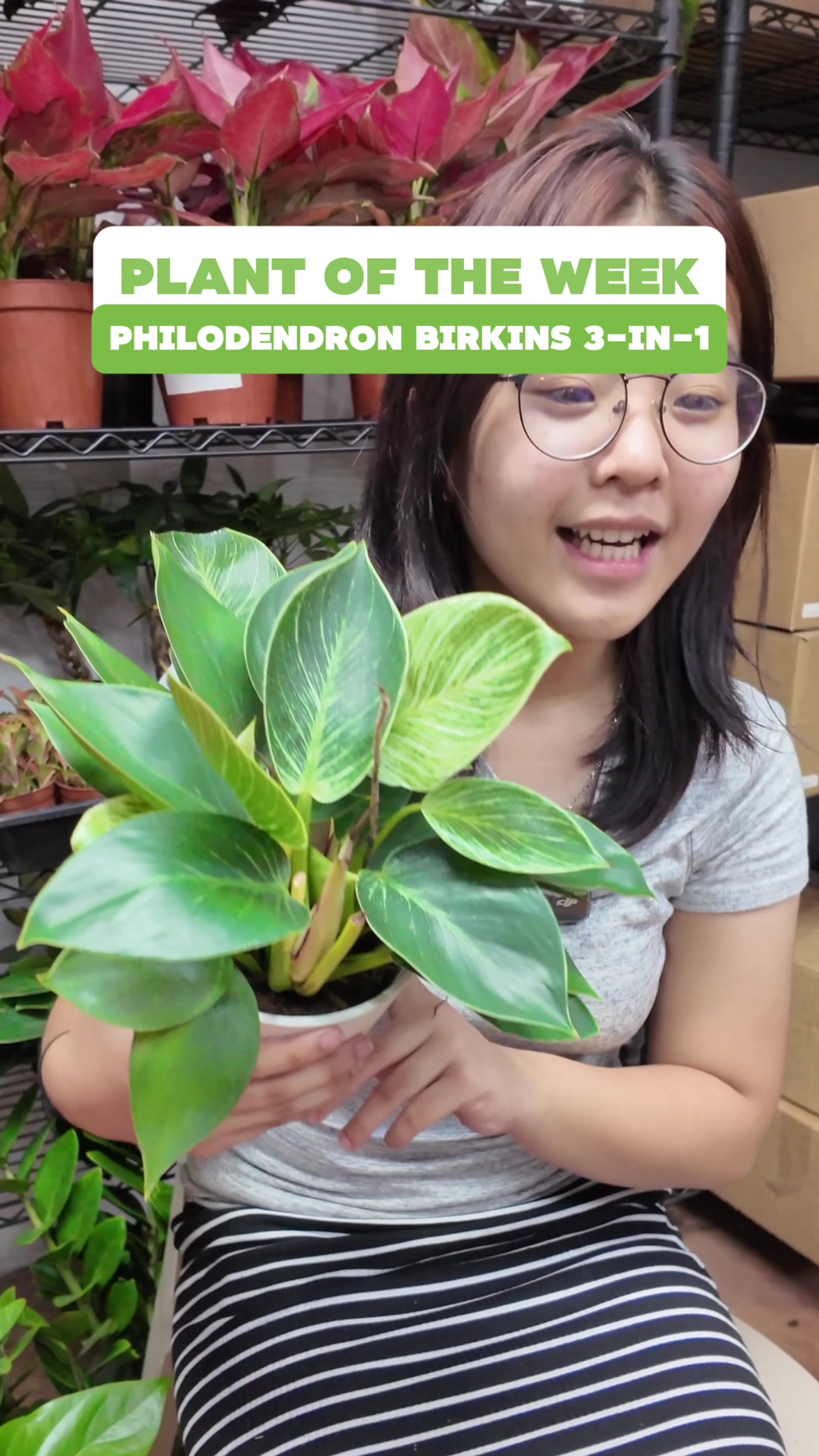 @PlantCulturePH