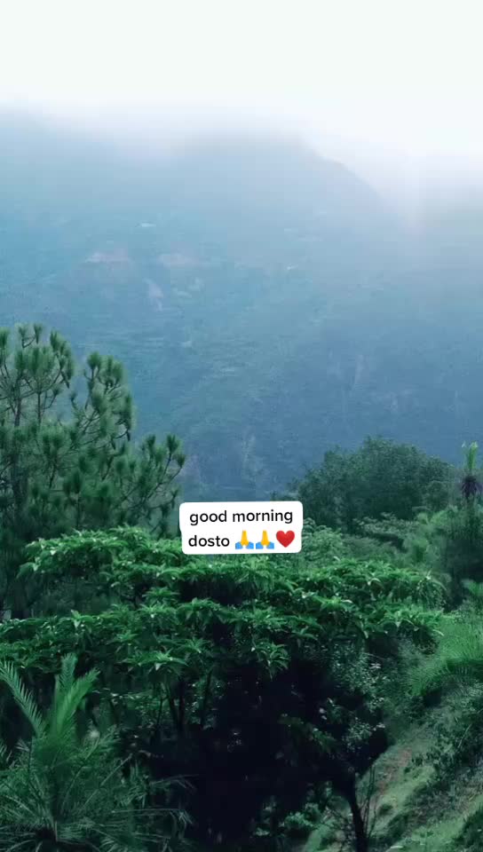 @mr_ kamal ❤phadi
