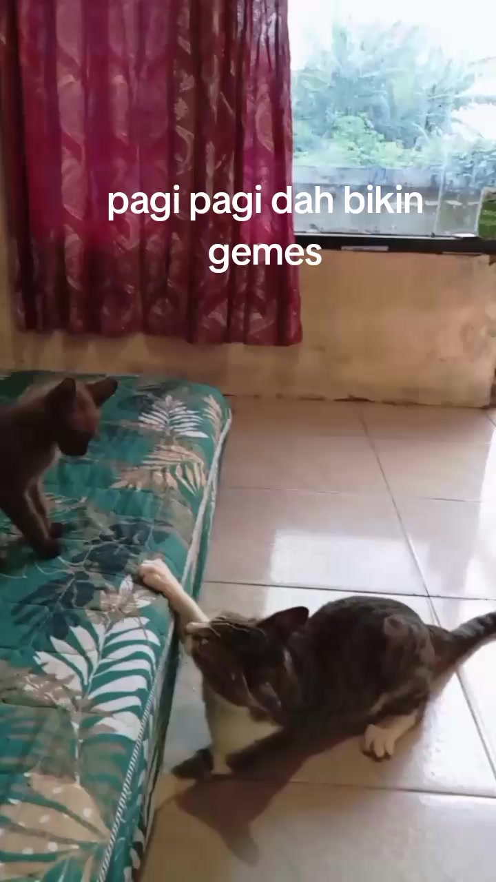 @MAK ANJANI