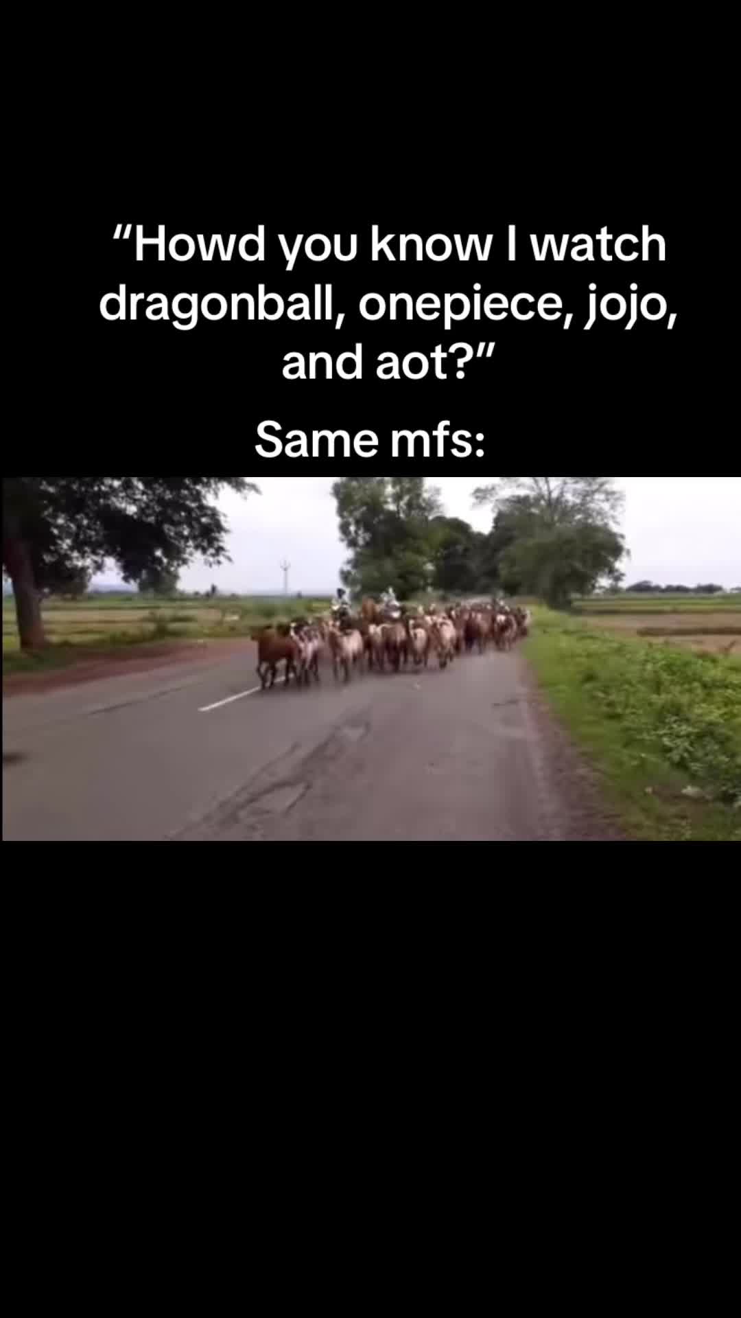 @𝐅𝐋𝐀𝐒𝐇𝐘ツ