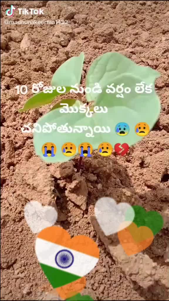 @@Thimmappa10