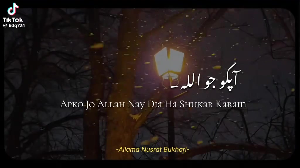 @Abdul Mateen