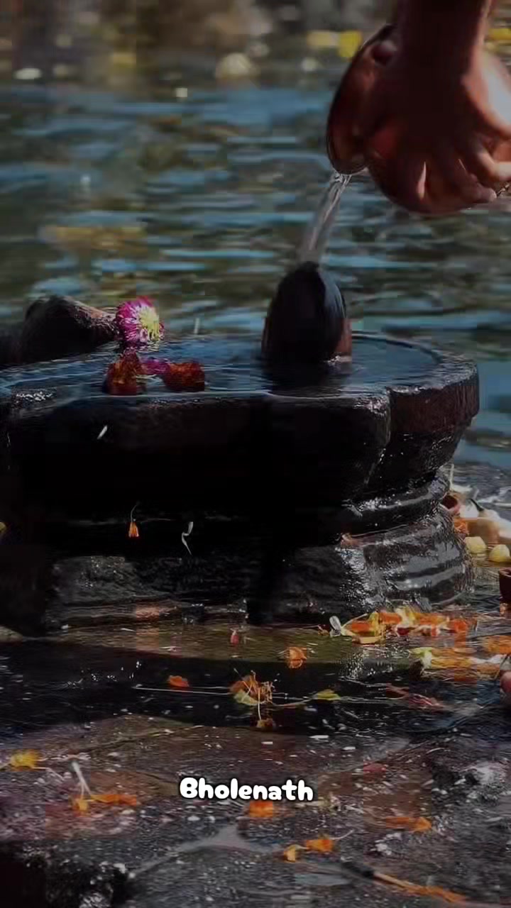 @🕉☘️Sujata❤🌻🦚
