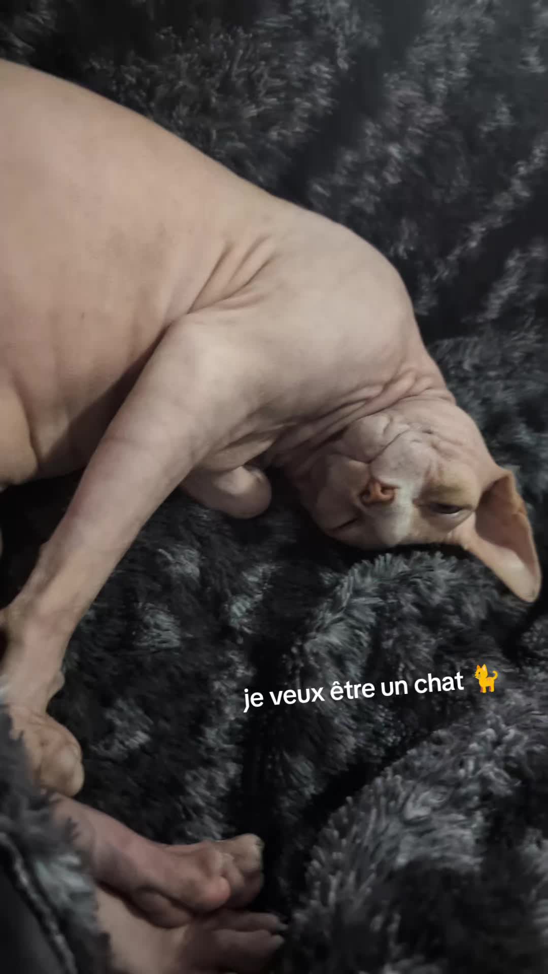 @Amy_dusoleildanstajournee
