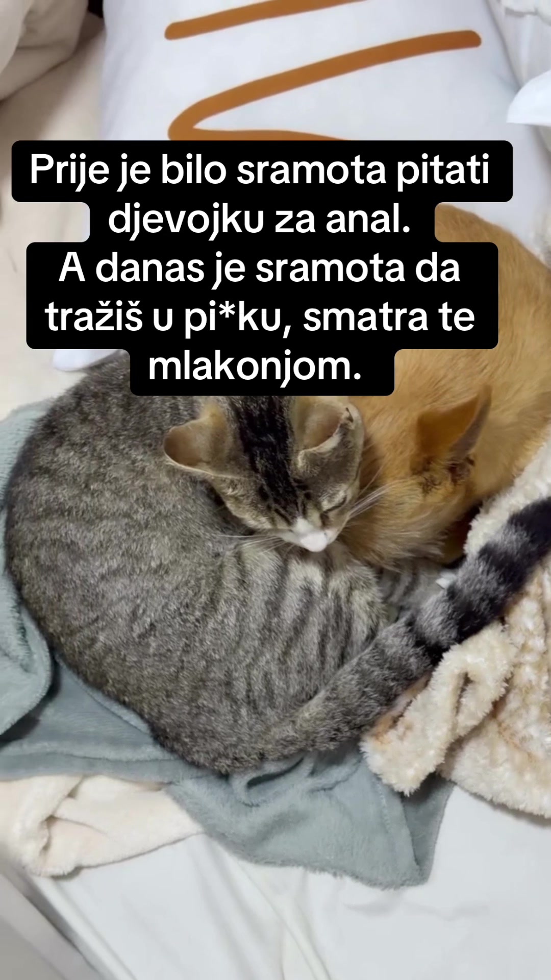 @Daždevnjak