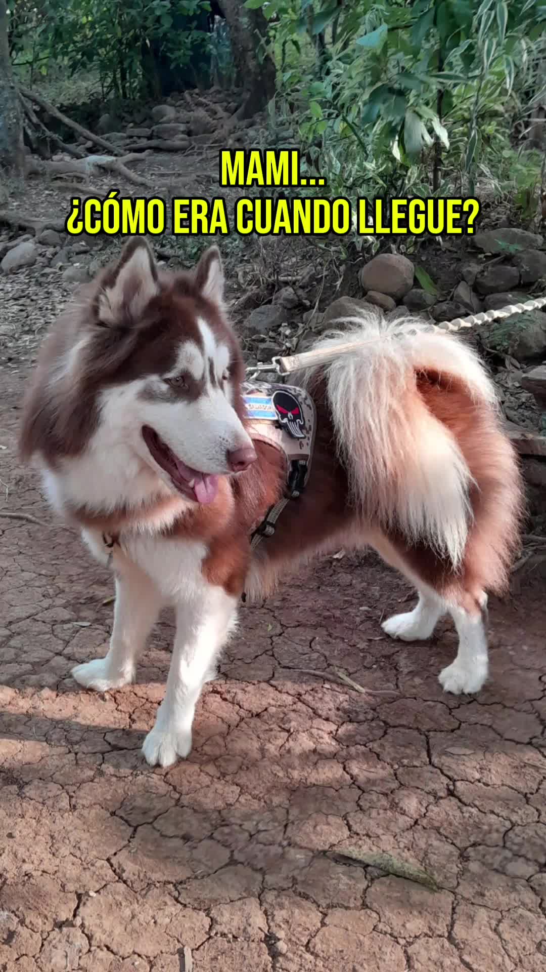 @CARMENZGLP