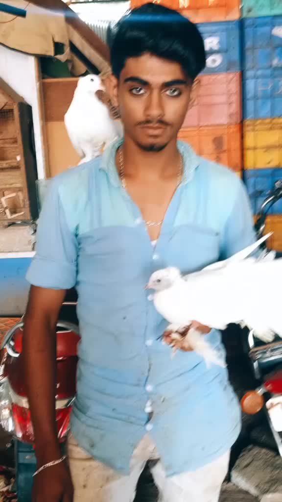 @nawazsi46
