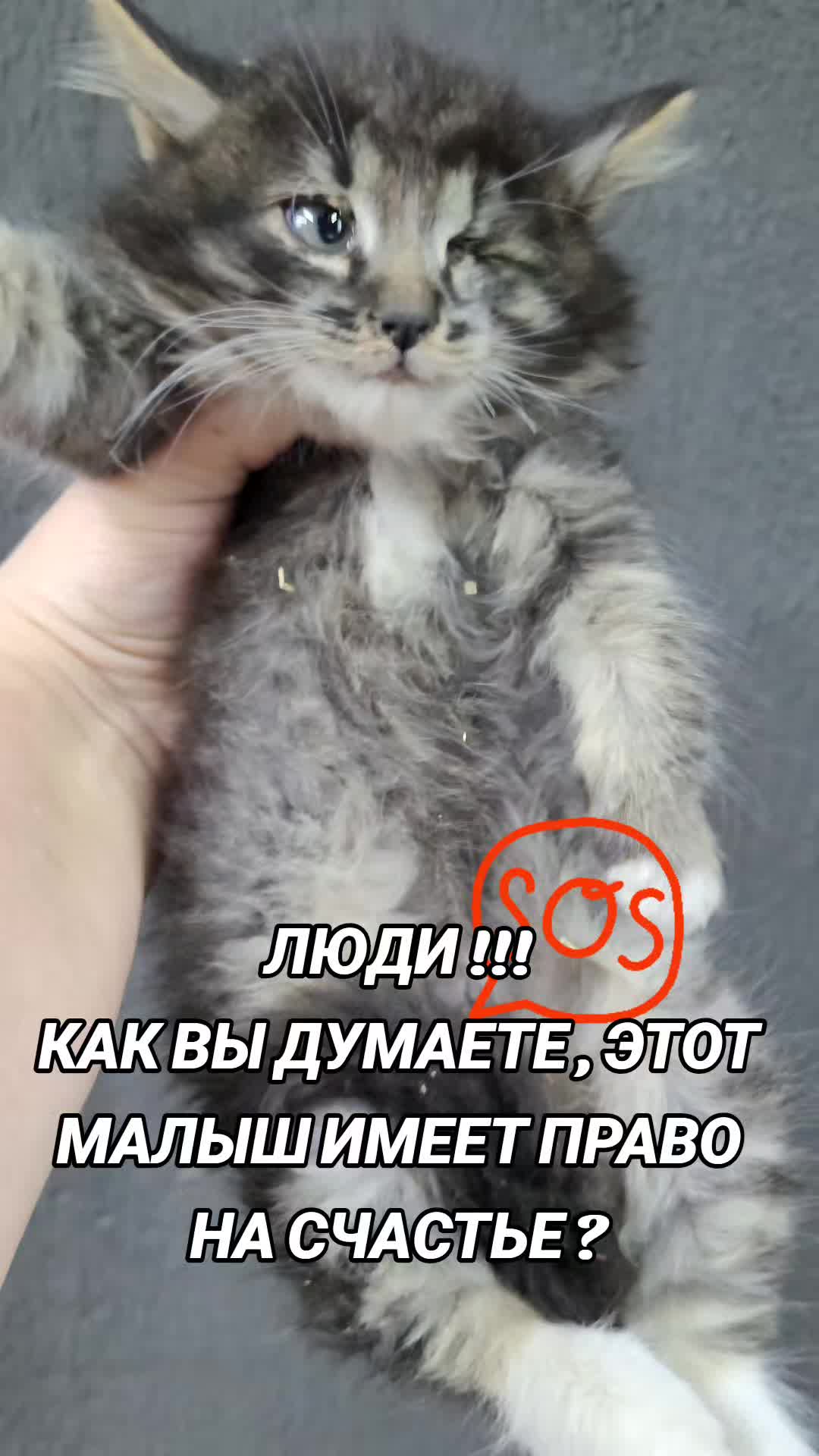 @marinka20_09